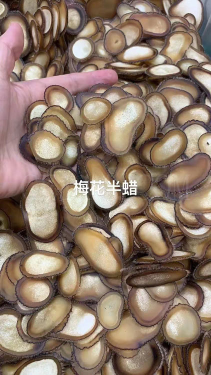 漳州梅花鹿茸片